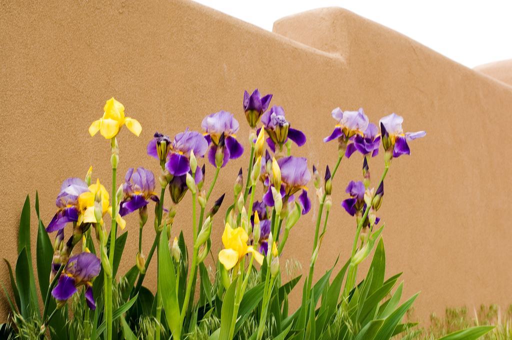 Fort Marcy Suites By All Seasons Resort Lodging Santa Fe Esterno foto